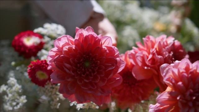 Как чувствовать энергии ответ на тест. Кто правильно почувствовал можете работать с энергиями. смотреть онлайн