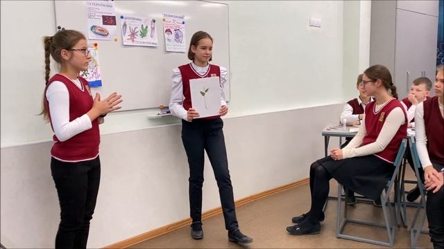 Урок биологии 6 класс Царства животных смотреть онлайн