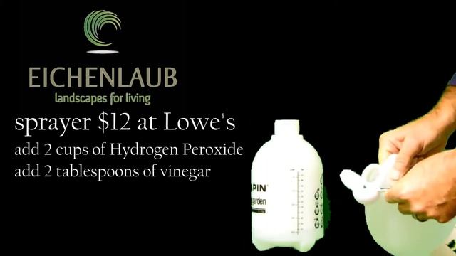 Make you Cor-ten Steel patina faster!! смотреть онлайн