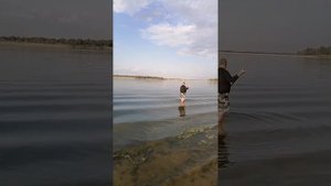 ловля Амура на Волге