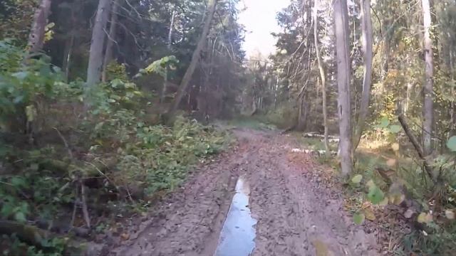 Грибной рай 2015 смотреть онлайн