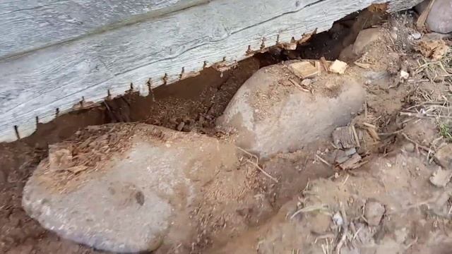 Ремонт деревянного сруба Как убрать гниль в нижнем венце сруба. Вырезаем труху для вставки бруса.
