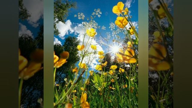 #15июля - день Берегини смотреть онлайн