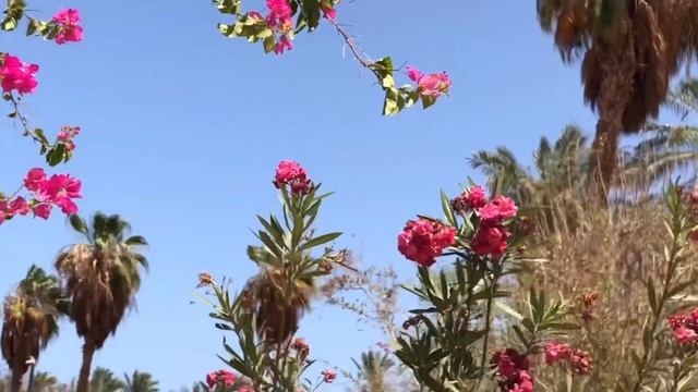 Заброшенный отель Sultan Beach Resort , Хургада. Как выглядит Египет 2020