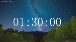 Обратный отсчет Таймер 3 часа. Звуки живой природы / Countdown. Timer 3 hours. #ГолосаЖивойПрироды