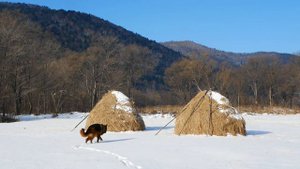 Ариадное. Дальнереченский район. Путешествия по Приморскому краю.