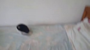 Обзор номера база отдыха Маяк, пгт.Николаевка, Крым. 15.09.2020