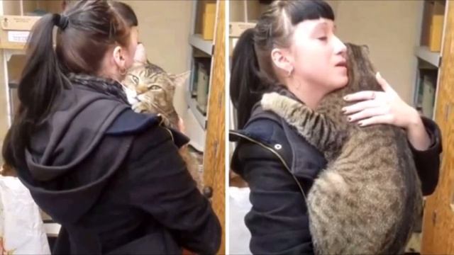 Кот из приюта крепко обнял девушку и уткнулся в её воротник. Она не могла его не забрать смотреть онлайн