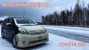 Весенний перегон TOYOTA ISIS