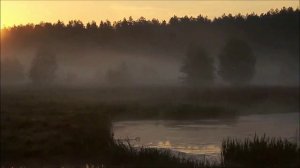 "Ты помнишь, Алеша..."