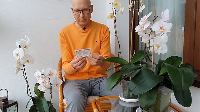 Кто грызет мои орхидеи? Какой инсектицид я применяю. Сбросят ли орхидеи цветы после обработки ядами смотреть онлайн