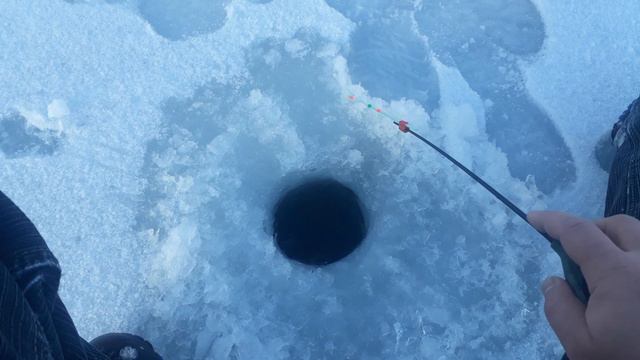 Рыбалка на мормышку в начале января. Ерши и окуни