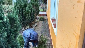 Бюджетный Новогодний декор участка