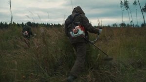 Агротехнический уход за лесными культурами