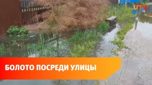 Жители Башкирии жалуются на болото посреди улицы и бездействие мэрии
