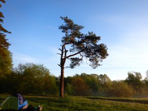 Усожа Свапа 2024+