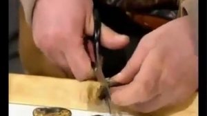 Бобровая струя. Способ приготовления, полезные свойства