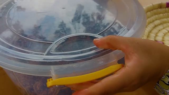 أسهل طريقة لتجفيف كل أنواع التين المالح والحلو مع تحضير مربى التين وأشهى الأطباق смотреть онлайн