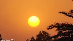 Honor Magic 6 Pro Live Max Zoom Test