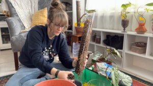 Repot With Me 🪴 Upgrading Philodendron to Moss Poles! - Plant Chores