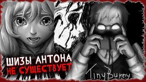 теории по зайчику - Разбор шизы Антона / СЮЖЕТ И КОНЦОВКИ tiny bunny