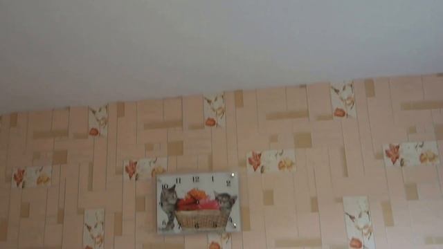 Продается 1 комн квартира в Борисоглебске. смотреть онлайн