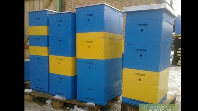 КАК НАЧАТЬ ЗАНИМАТЬСЯ ПЧЕЛОВОДСТВОМ?!?!?! смотреть онлайн