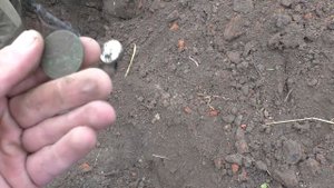 Никто и подумать не мог, что найдем там ее.  Коп монет 2020