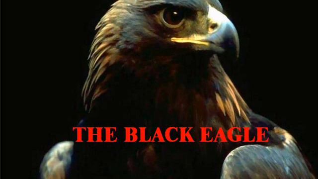 THE BLACK EAGLE EARTH смотреть онлайн