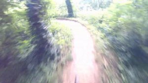 Low Hollow Trail - Bowling Green, KY - Counter Clockwise - 6/8/2020