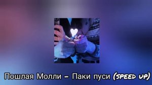 Пошлая Молли - Паки пуси (speed up)