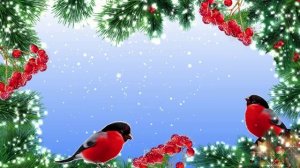 Зимний фон Снегири. Красивый футаж для видео-монтажа