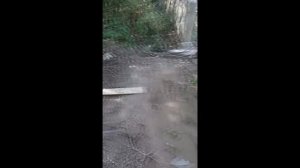 Подпорная стенка. Парковка