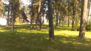 Борне Сулиново расположение в ч 73858 VIDEO0113