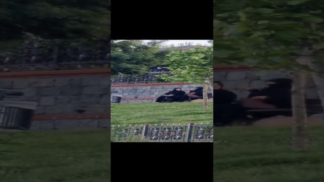 Прекрасный вечер в Стамбуле