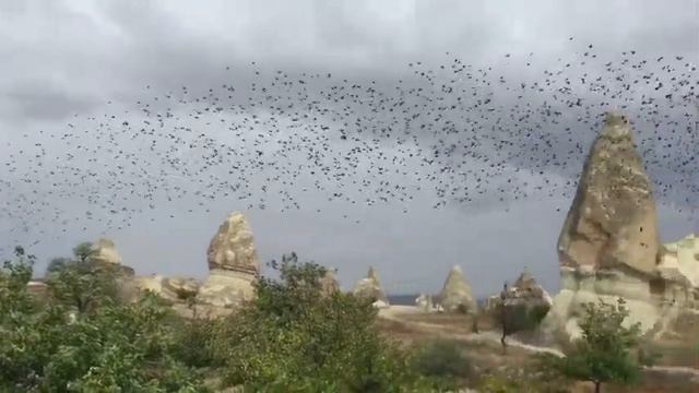 Каппадокия 1 видео: Гёреме, Парк под открытым небом, розовая и красная долина смотреть онлайн