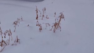 TEAC TN-5BB (убираем снег с теплиц, потом к Сергею, слушать пластинку Enigma) Часть 1