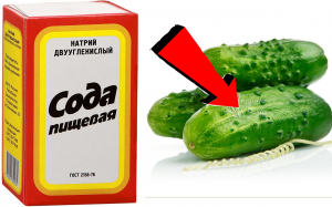 Всего 1 ЛОЖКА под клубнику! Завалит ягодами раньше срока! СРОЧНО внесите уже сейчас под каждый куст!