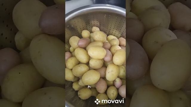 Жарю картошку во фритюре?#картошкажареная #картошка #ужин #ужины
