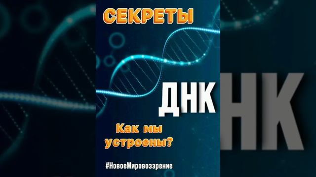 Секреты ДНК: как мы устроены...mp4