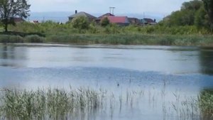 озеро, лермонтов, обзор, май, 18