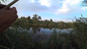 Рыбалка на самодельную удочку!КАРАСИ ЛАПТИ