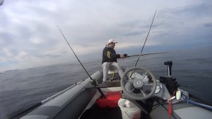 Рыбалка во Владивостоке, минтай, камбала, лосось.