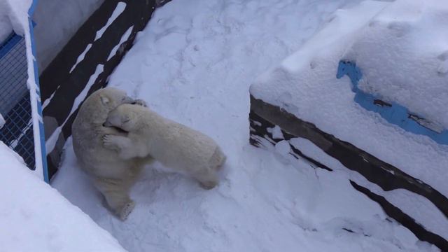 Кай и Герда Часть 3 25 02 2021 смотреть онлайн