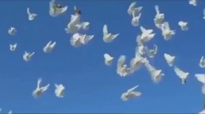 Бессмертный полк.