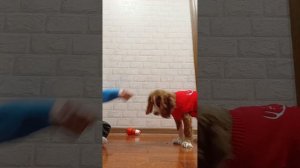 как научить собаку команде лежать???