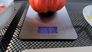 Pomidor  Red Pear  - Czerwona gruszka