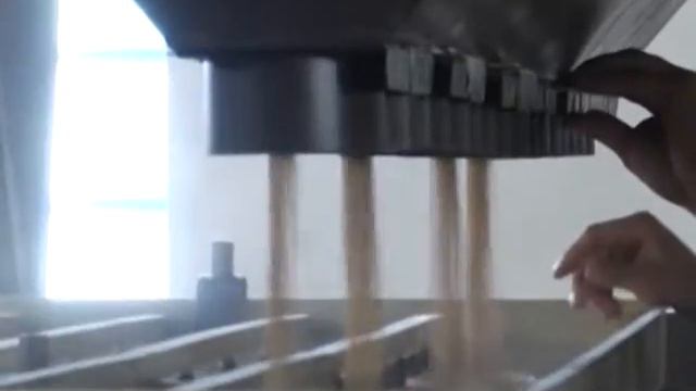 ДП ДГ Елітне АгроЕксперт Завод з очищення та доробки насіння за щадною пофракційною технологією смотреть онлайн