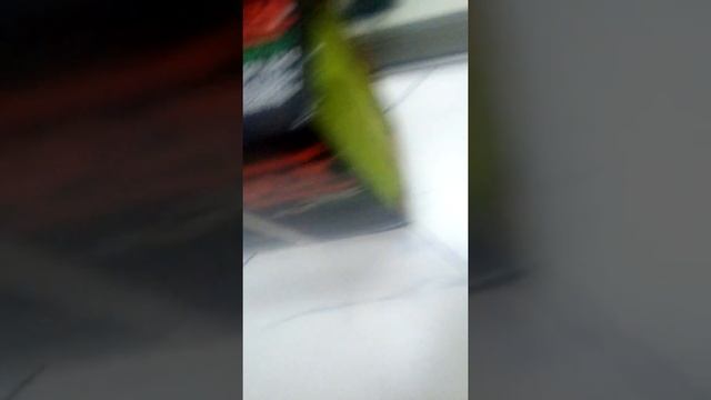 DLB.by отзыв и моя история покупки часть 1 смотреть онлайн