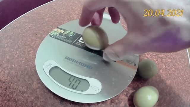 Фазаньи яйца. Богатырское яйцо. Вес фазаньих яиц разного возраста смотреть онлайн